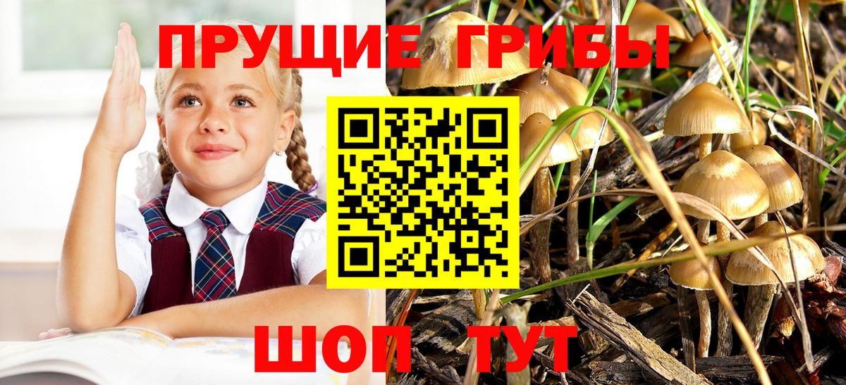 Пятигорск  Псилоцибиновые грибы GOLDEN TEACHER  Вход с VPN 